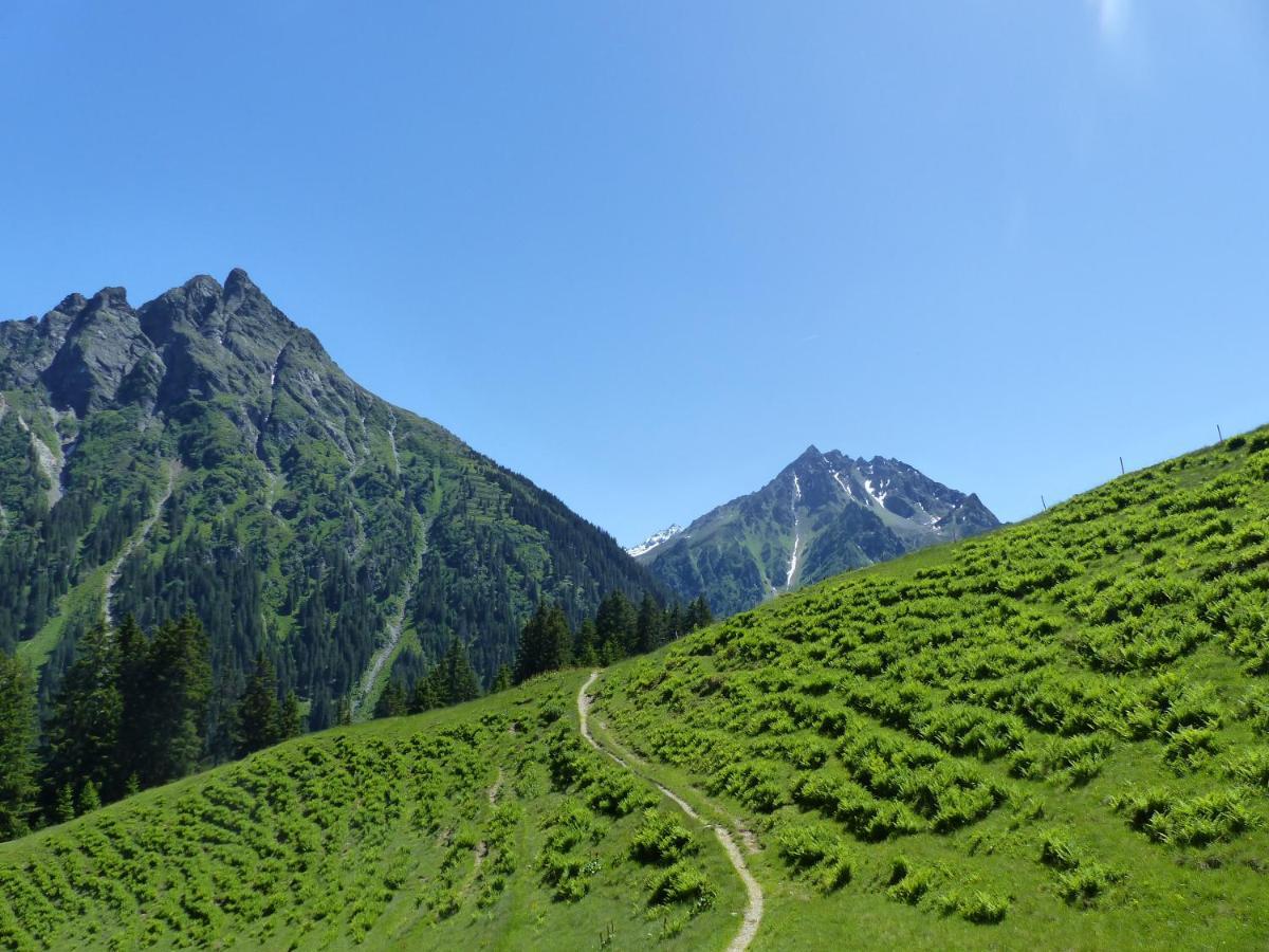 Alpinresortmontafon Garni Гаргеллен Екстер'єр фото