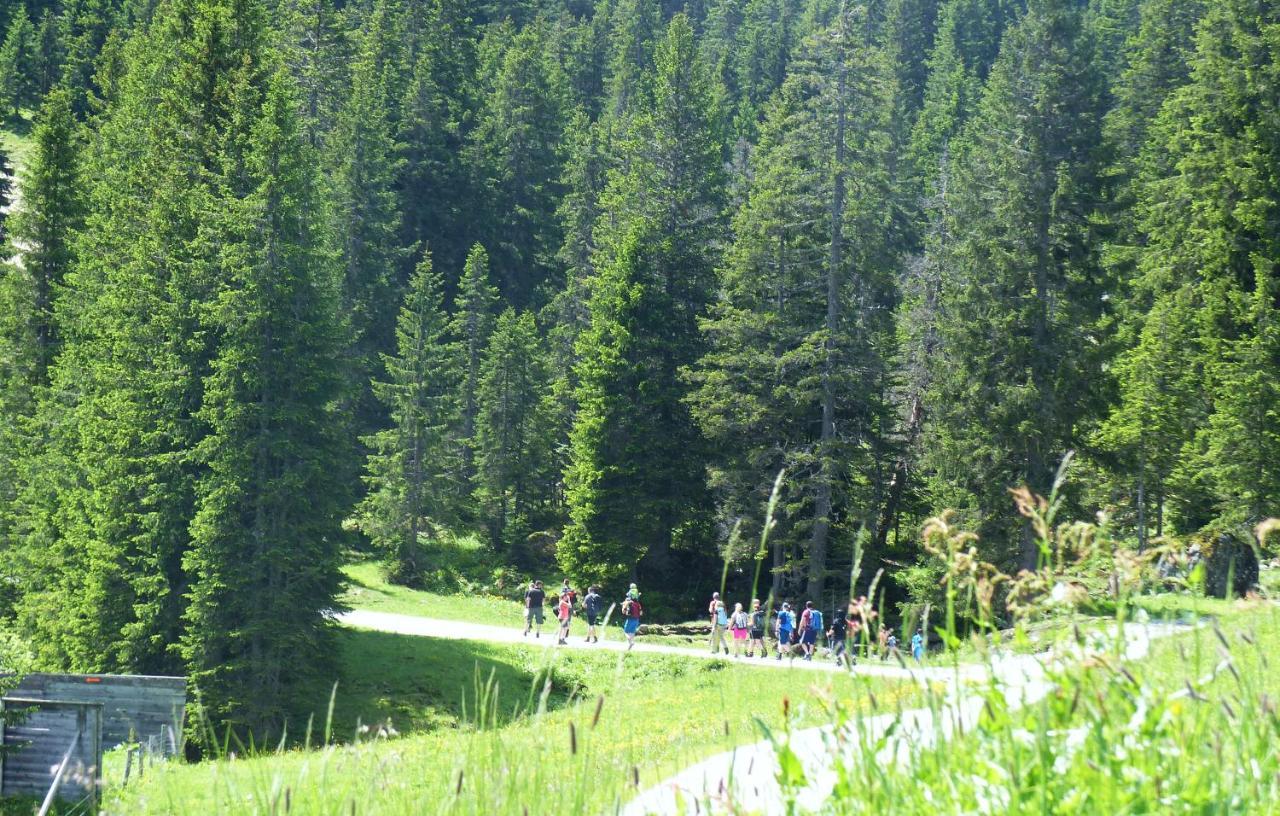 Alpinresortmontafon Garni Гаргеллен Екстер'єр фото